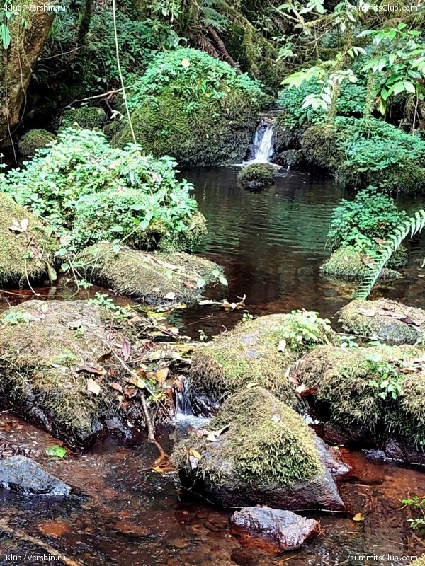 ������������. ������� - ������ 2023. ������� �������, ���� 34