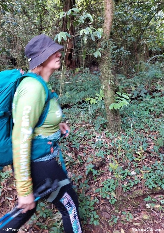 ������������. ������� - ������ 2023. ������� �������, ���� 62