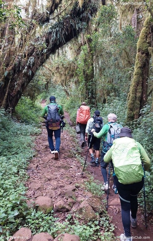 ������������. ������� - ������ 2023. ������� �������, ���� 68