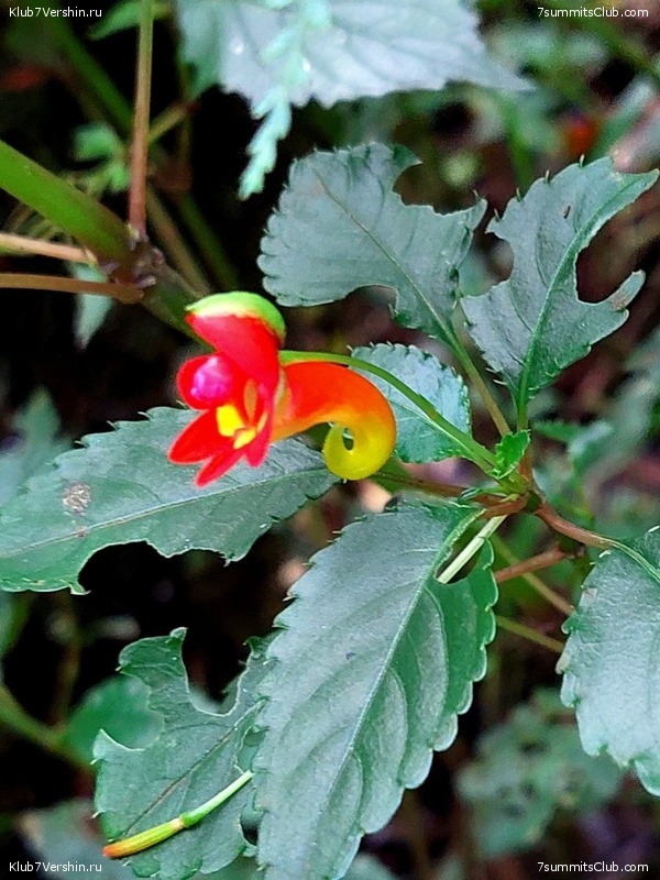 ������������. ������� - ������ 2023. ������� �������, ���� 35