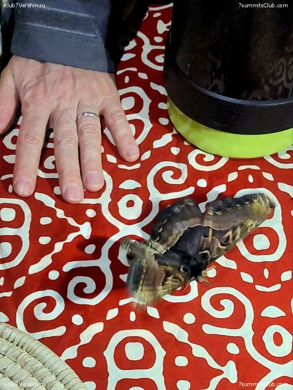 ������������. ������� - ������ 2023. ������� �������, ���� 36