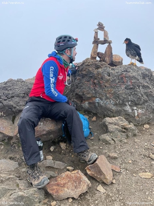 ������� ��������. ����� 2023 ����, ���� 29