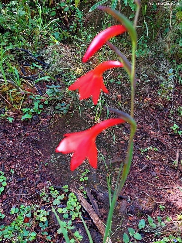 ������������. ������� - ������ 2023. ������� �������, ���� 37