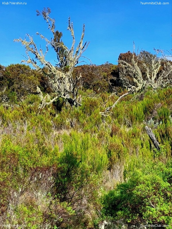 ������������. ������� - ������ 2023. ������� �������, ���� 38