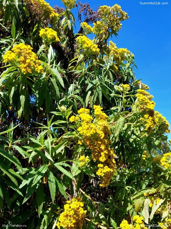 ������������. ������� - ������ 2023. ������� �������, ���� 39