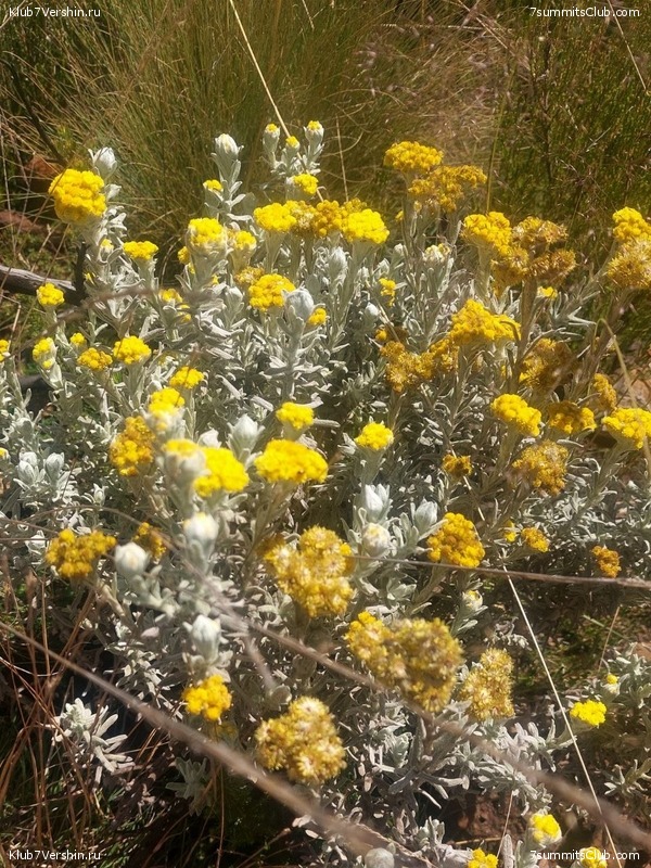 ������������. ������� - ������ 2023. ������� �������, ���� 41