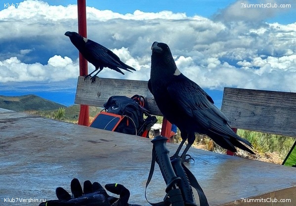 ������������. ������� - ������ 2023. ������� �������, ���� 14