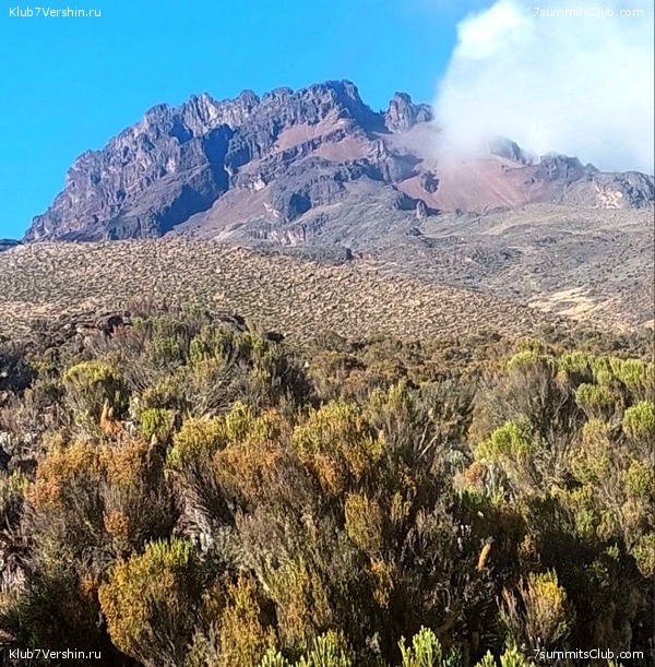 ������������. ������� - ������ 2023. ������� �������, ���� 23