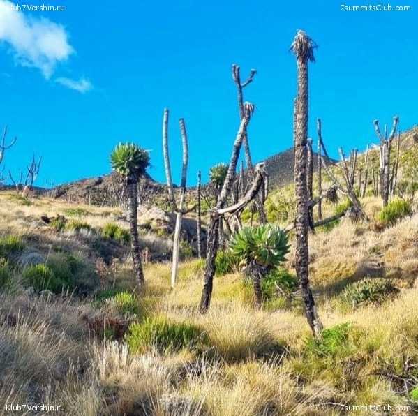 ������������. ������� - ������ 2023. ������� �������, ���� 22