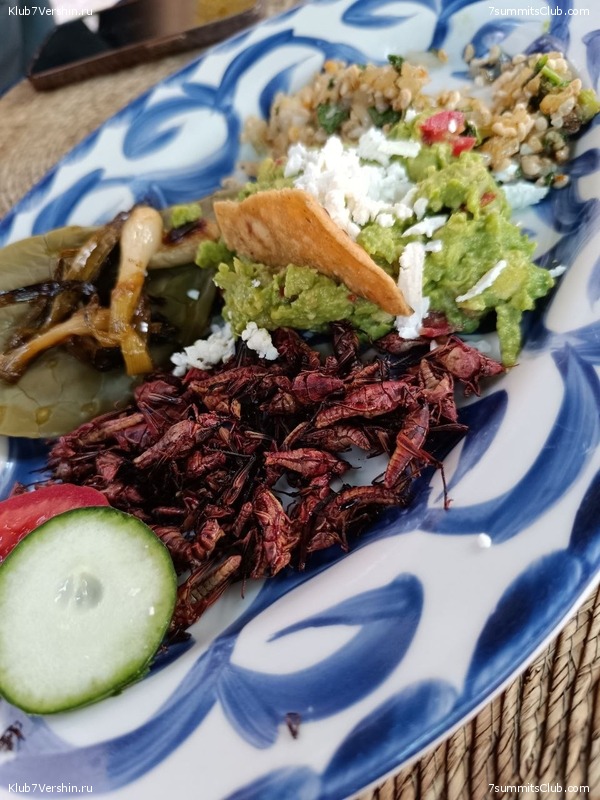 �������. ����� 2023 ����. ��������� �������, ���� 153