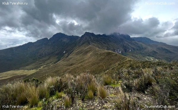 ������� ��������. ����� 2023 ����, ���� 8