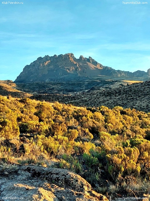 ������������. ������� - ������ 2023. ������� �������, ���� 44