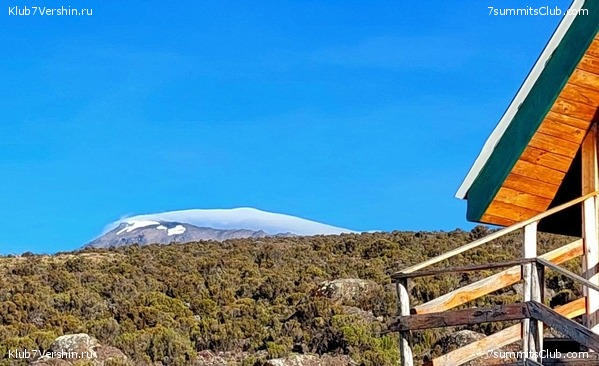 ������������. ������� - ������ 2023. ������� �������, ���� 12