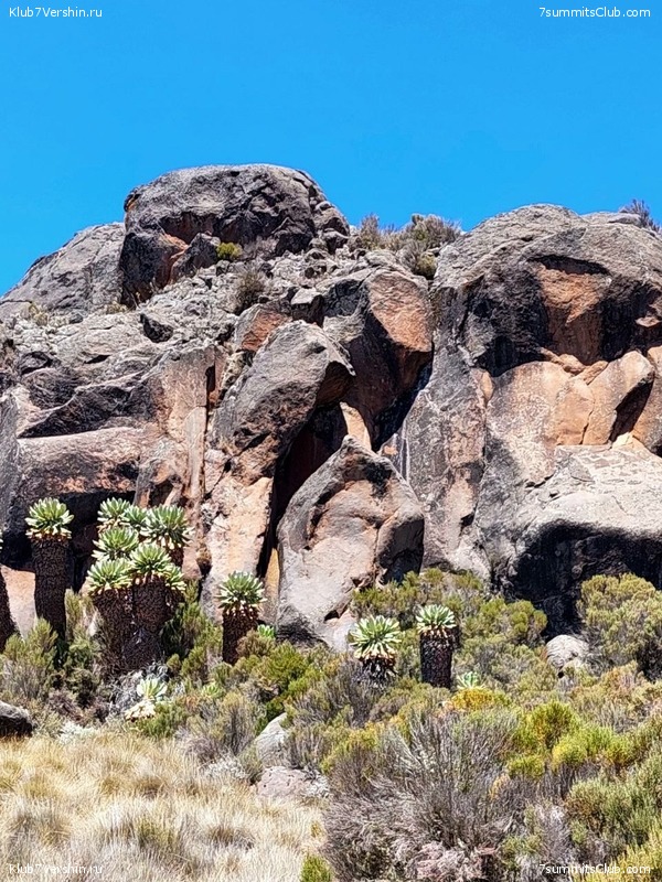 ������������. ������� - ������ 2023. ������� �������, ���� 47