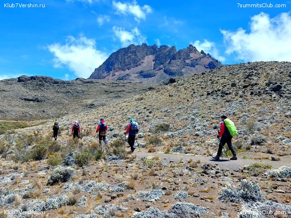 ������������. ������� - ������ 2023. ������� �������, ���� 19