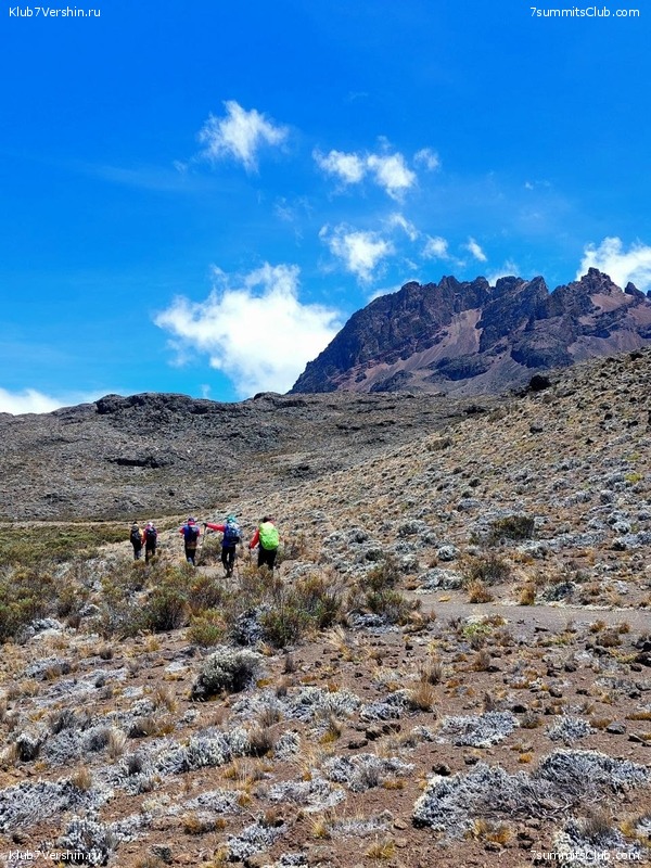 ������������. ������� - ������ 2023. ������� �������, ���� 49