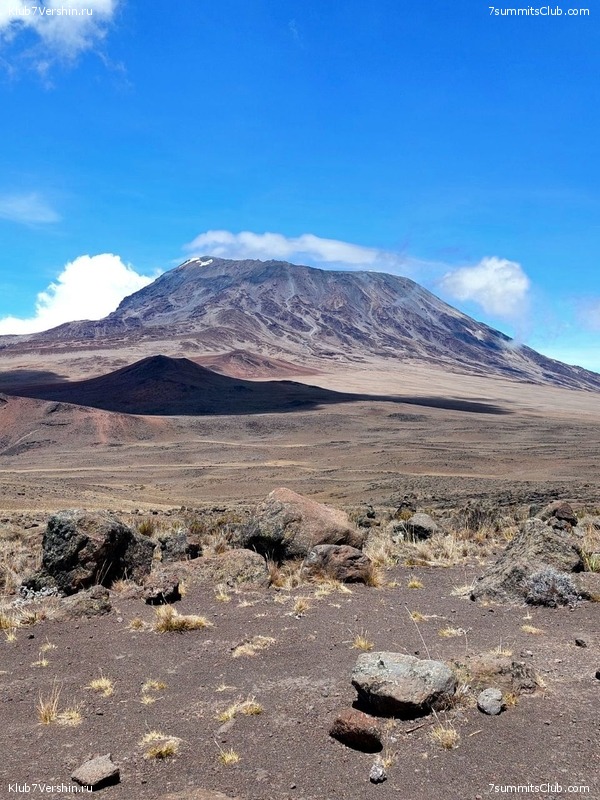 ������������. ������� - ������ 2023. ������� �������, ���� 50