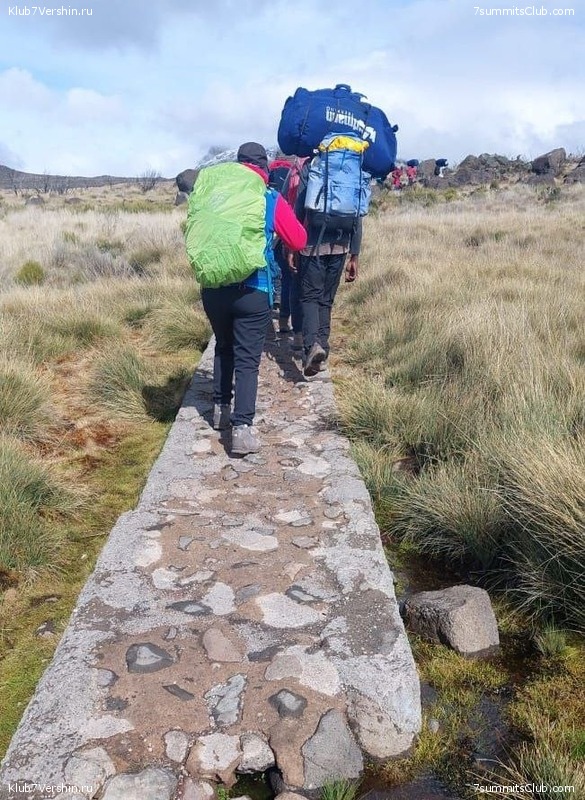 ������������. ������� - ������ 2023. ������� �������, ���� 60