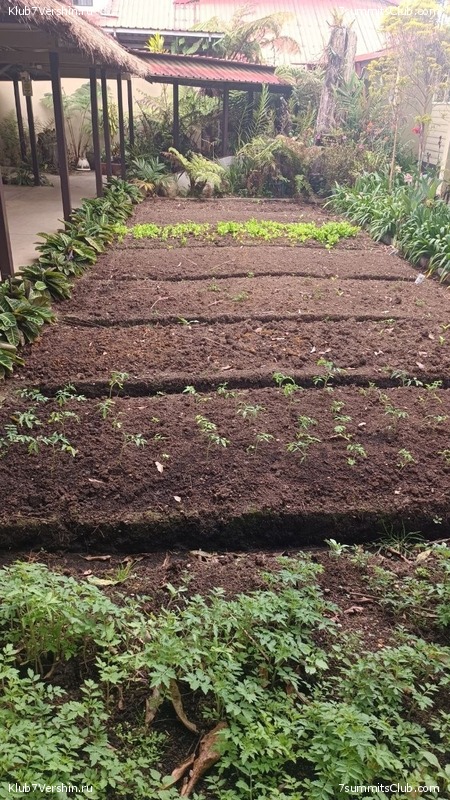 ������ 2023. ������. ������ ������, ���� 115