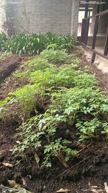 ������ 2023. ������. ������ ������, ���� 116