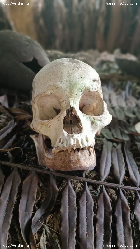 ������ 2023. ������. ������ ������, ���� 119