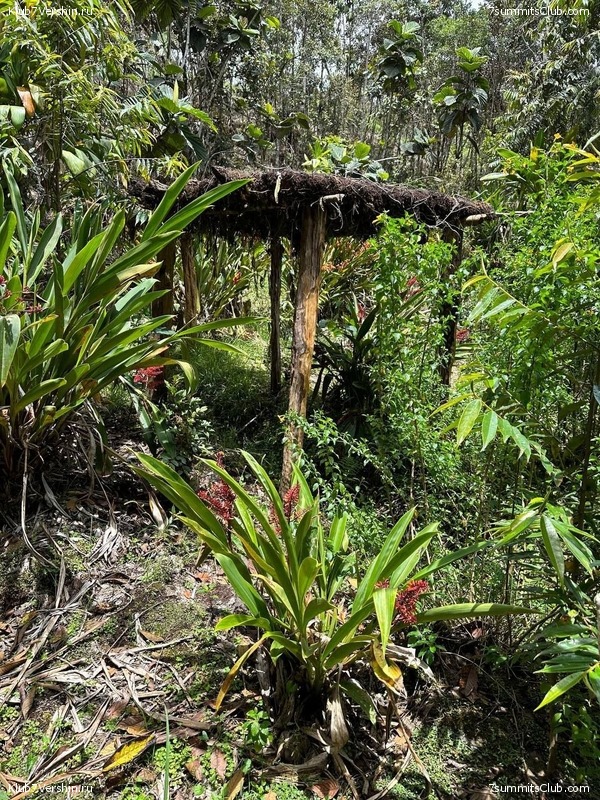 ������ 2023. ������. ������ ������, ���� 58