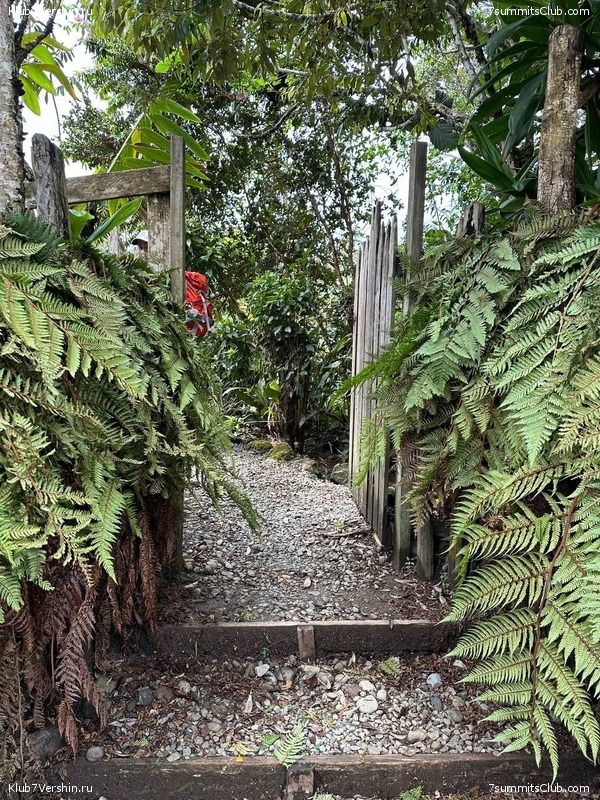 ������ 2023. ������. ������ ������, ���� 59