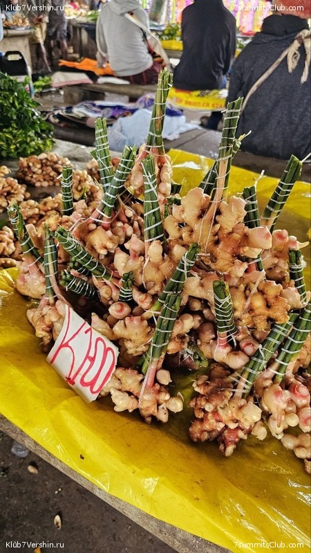 ������ 2023. ������. ������ ������, ���� 126