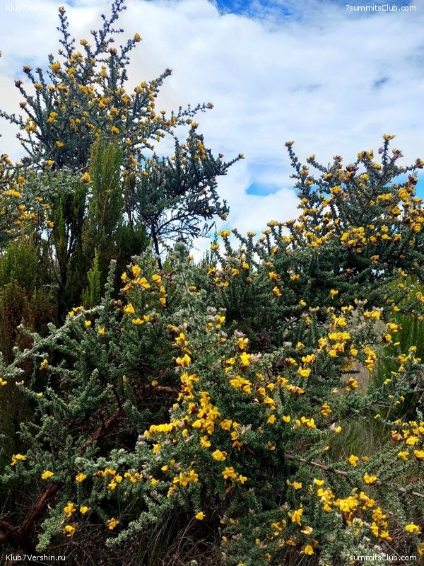 ������������. ������� - ������ 2023. ������� �������, ���� 52