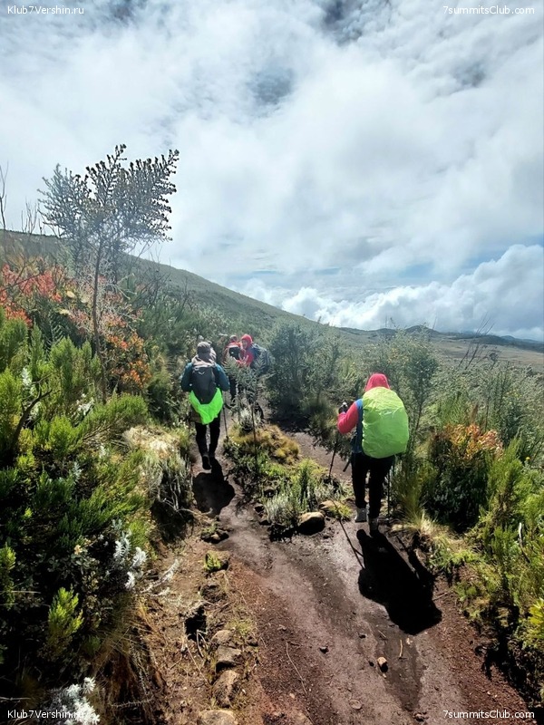 ������������. ������� - ������ 2023. ������� �������, ���� 53