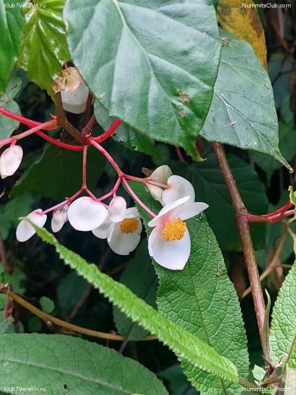 ������������. ������� - ������ 2023. ������� �������, ���� 54