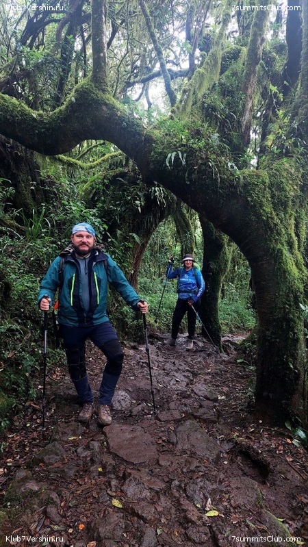 ������������. ������� - ������ 2023. ������� �������, ���� 71