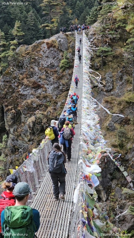 �������� � �������� ������. ������ ��� � ������. ����� 2023 ����, ���� 233