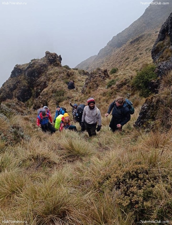 ������ 2023. ������. ������ ������, ���� 54