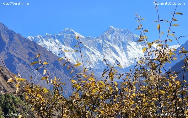 �������� � �������� ������. ������ ��� � ������. ����� 2023 ����, ���� 25