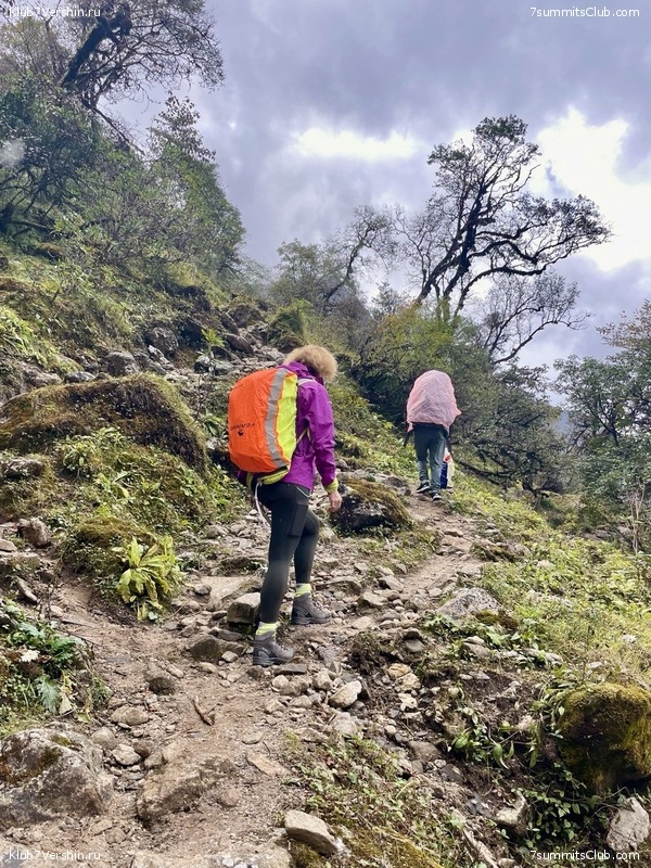 ���� ���. ����� 2023 ������, ���� 11