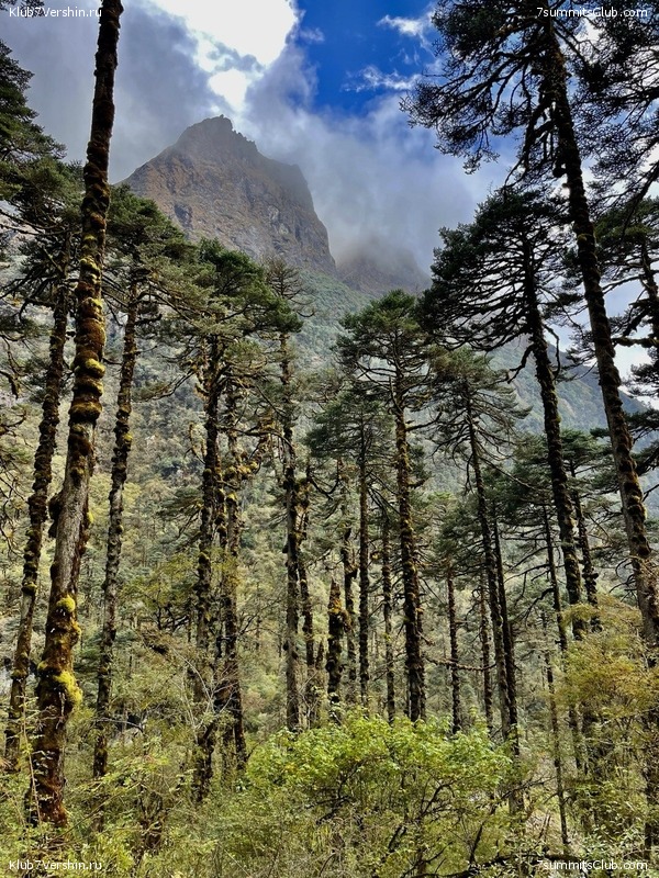 ���� ���. ����� 2023 ������, ���� 15