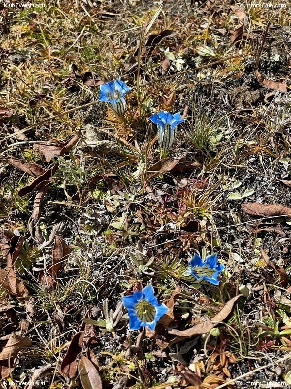 ���� ���. ����� 2023 ������, ���� 18