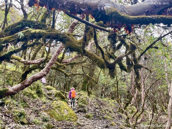 ���� ���. ����� 2023 ������, ���� 3