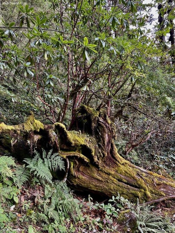 ���� ���. ����� 2023 ������, ���� 20