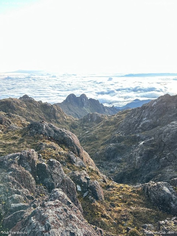 ������ 2023. ������. ������ ������, ���� 79