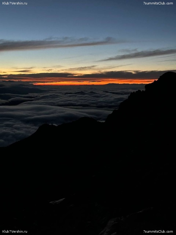 ������ 2023. ������. ������ ������, ���� 81