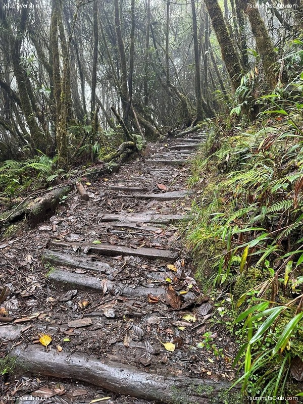 ������ 2023. ������. ������ ������, ���� 91