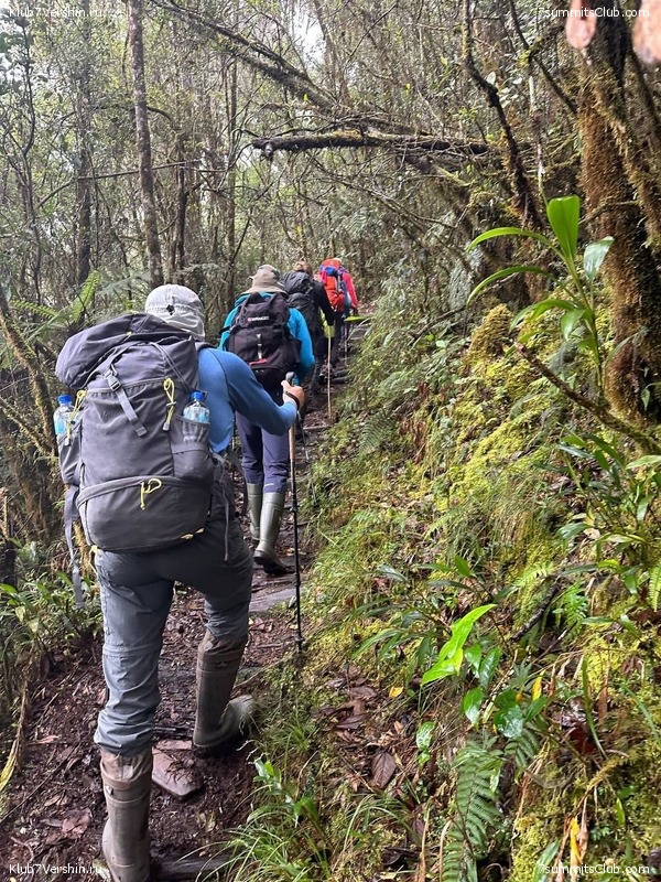 ������ 2023. ������. ������ ������, ���� 93