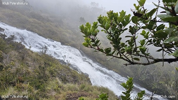 ������ 2023. ������. ������ ������, ���� 21