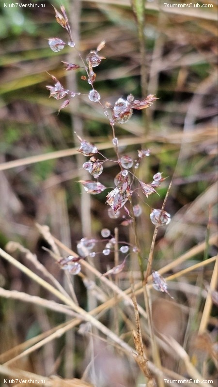 ������ 2023. ������. ������ ������, ���� 169