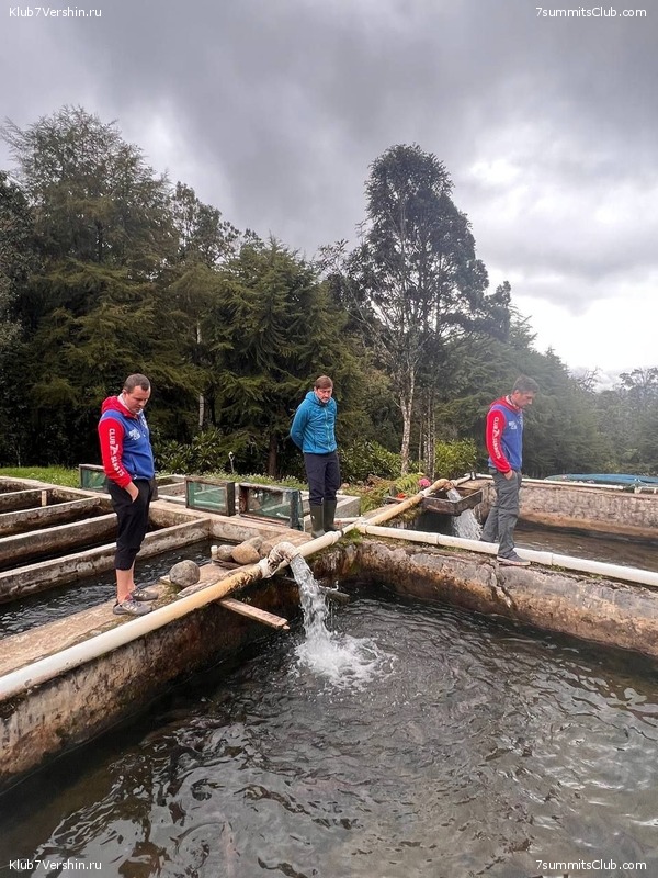 ������ 2023. ������. ������ ������, ���� 98