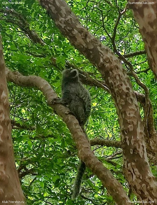 ��������, ���� 34