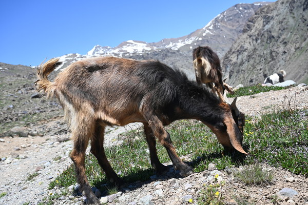 ����������� �� �2. ���� 2023 ����. ���� ������� ���������, ���� 5