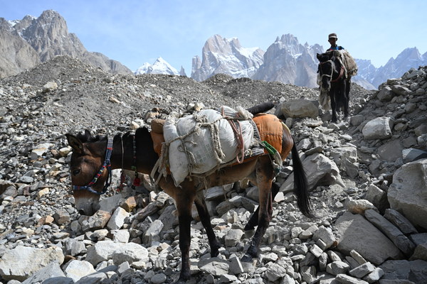 ����������� �� �2. ���� 2023 ����. ���� ������� ���������, ���� 19